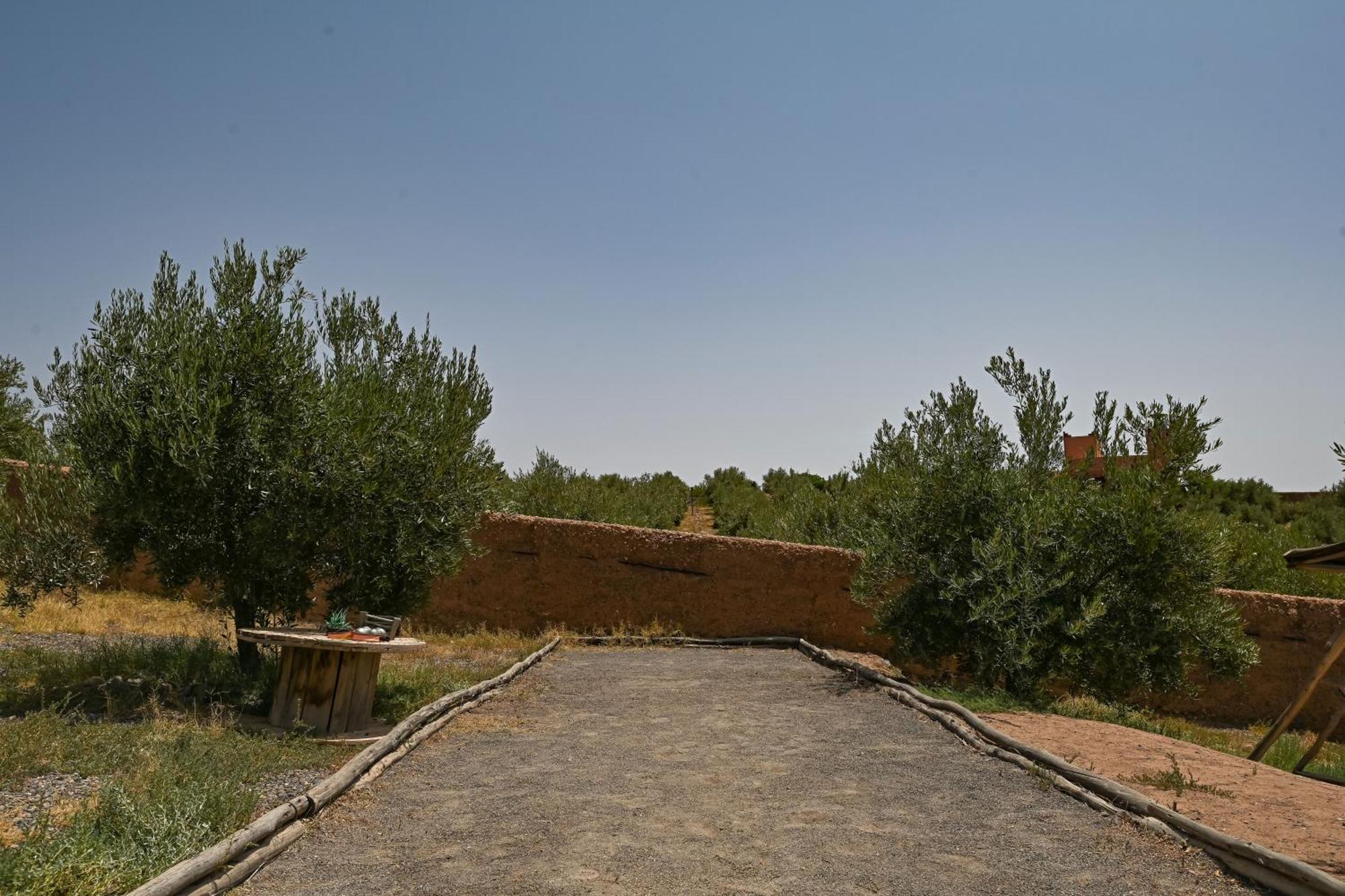 Le Parc Des Oliviers Hotel Hrabil Saada Exterior photo