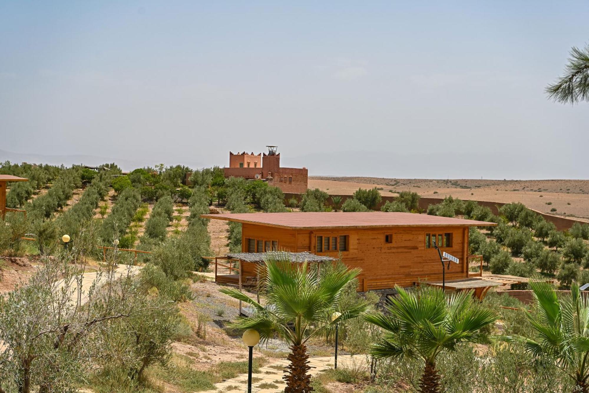 Le Parc Des Oliviers Hotel Hrabil Saada Exterior photo