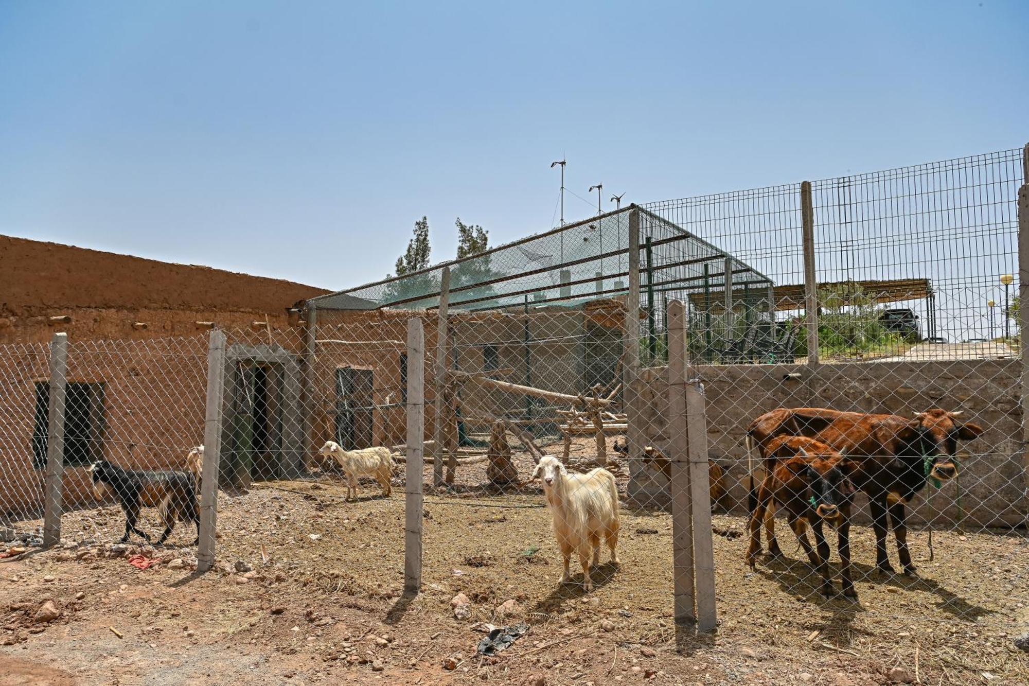 Le Parc Des Oliviers Hotel Hrabil Saada Exterior photo