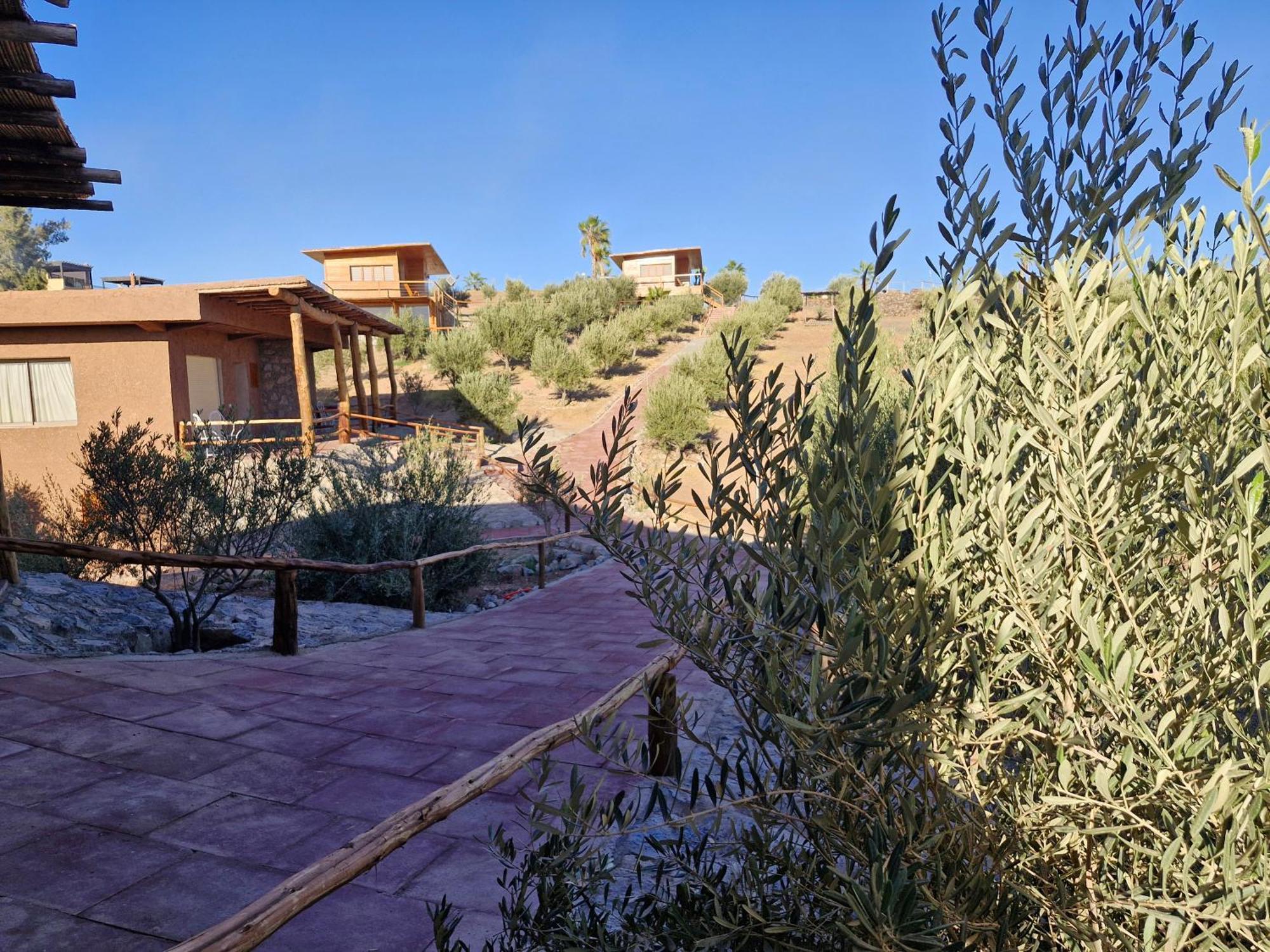 Le Parc Des Oliviers Hotel Hrabil Saada Exterior photo